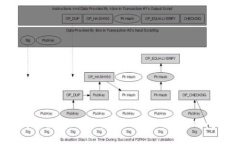 如何解决Tokenim显示二维码