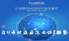 Tokenim交易平台U币被盗后怎