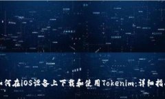 如何在iOS设备上下载和使