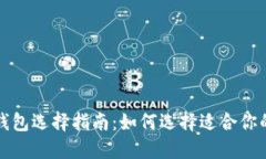 比特币支付钱包选择指南