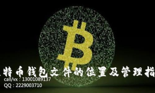 比特币钱包文件的位置及管理指南