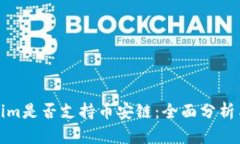 Tokenim是否支持币安链：全面分析与解读