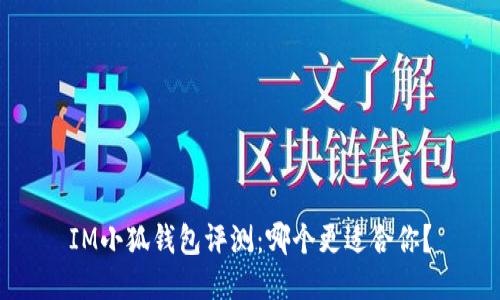 IM小狐钱包评测：哪个更适合你？