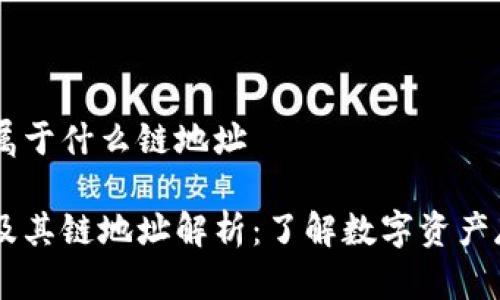 IM钱包属于什么链地址

IM钱包及其链地址解析：了解数字资产存储方式