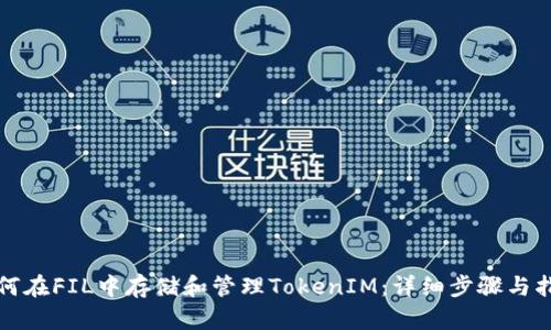 如何在FIL中存储和管理TokenIM：详细步骤与指南
