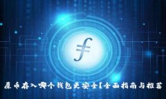 屎币存入哪个钱包更安全
