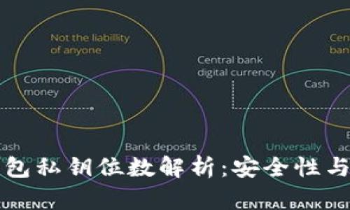比特币钱包私钥位数解析：安全性与使用指南