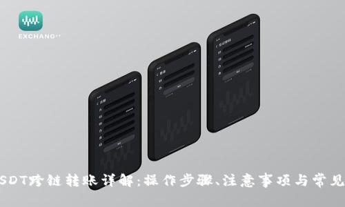 HB钱包USDT跨链转账详解：操作步骤、注意事项与常见问题解答