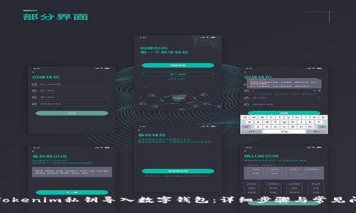 如何将Tokenim私钥导入数字钱包：详细步骤与常见问题解答