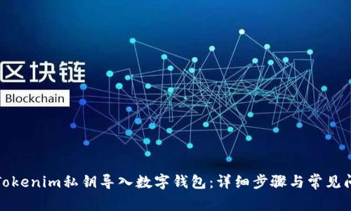 如何将Tokenim私钥导入数字钱包：详细步骤与常见问题解答