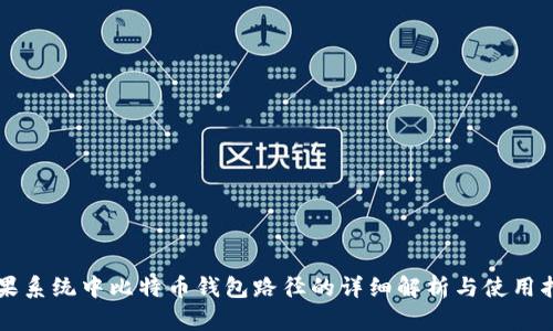 苹果系统中比特币钱包路径的详细解析与使用指南