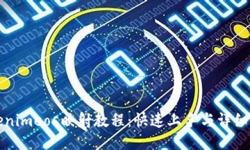 Tokenimeos映射教程：快速上手与详细指南