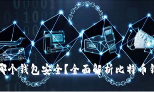 比特币存在哪个钱包安全？全面解析比特币钱包的安全性