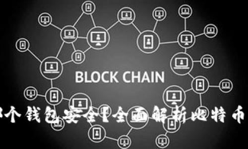 比特币存在哪个钱包安全？全面解析比特币钱包的安全性