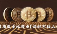 哪种钱包持有最多比特币