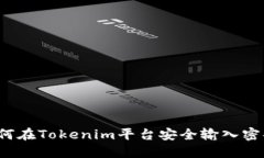 如何在Tokenim平台安全输入