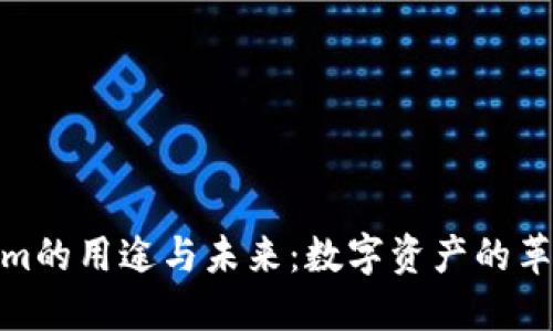 Tokenim的用途与未来：数字资产的革新之路
