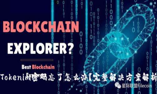 Tokenim密码忘了怎么办？完整解决方案解析