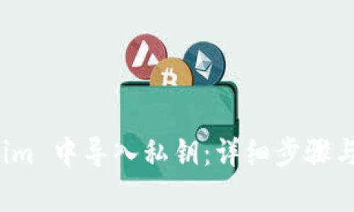 如何在 Tokenim 中导入私钥：详细步骤与常见问题解答