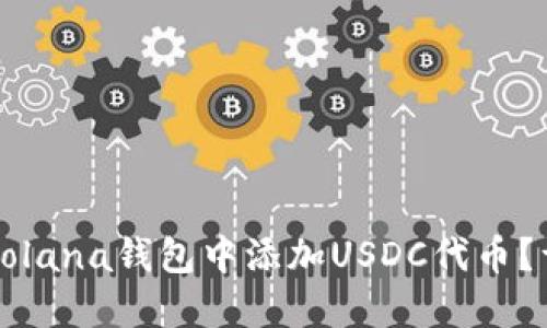 如何在Solana钱包中添加USDC代币？详尽指南