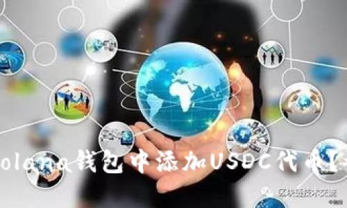 如何在Solana钱包中添加USDC代币？详尽指南