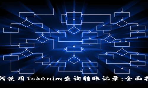 如何使用Tokenim查询转账记录：全面指南