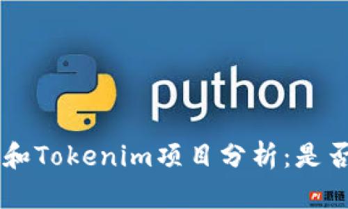 Token和Tokenim项目分析：是否正规？