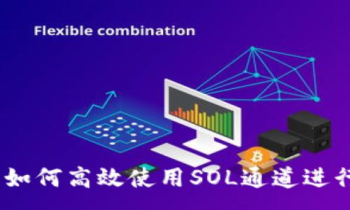 :
小狐钱包详解：如何高效使用SOL通道进行加密资产管理