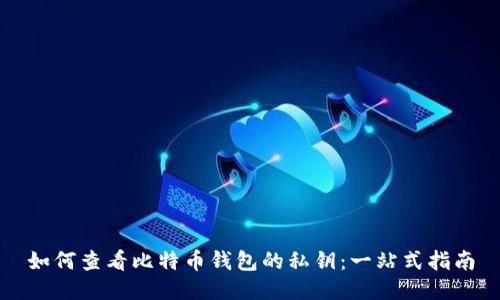如何查看比特币钱包的私钥：一站式指南