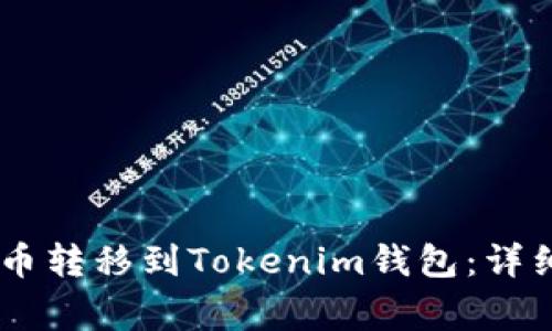 如何将OKEx上的币转移到Tokenim钱包：详细步骤和注意事项