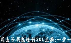 如何使用麦子钱包进行S