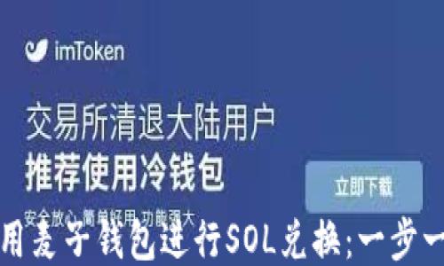 
如何使用麦子钱包进行SOL兑换：一步一步指南