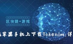 如何在苹果手机上下载T