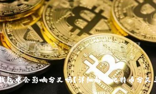 比特币放在钱包中会影响分叉吗？详细解析比特币分叉与钱包的关系