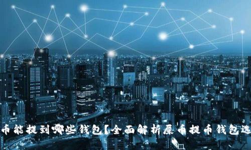 屎币能提到哪些钱包？全面解析屎币提币钱包选择