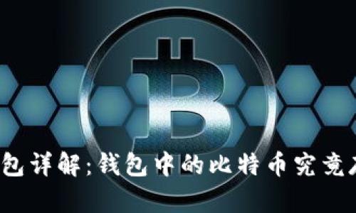 比特币钱包详解：钱包中的比特币究竟存在哪里？