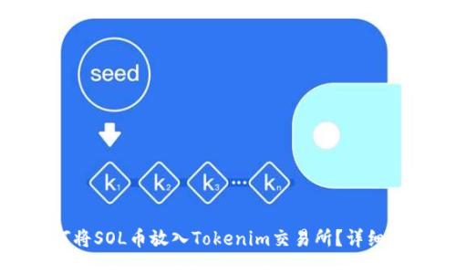 如何将SOL币放入Tokenim交易所？详细指南
