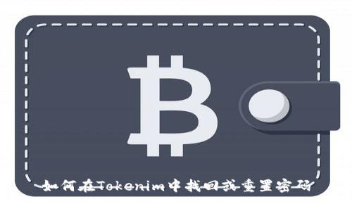 如何在Tokenim中找回或重置密码