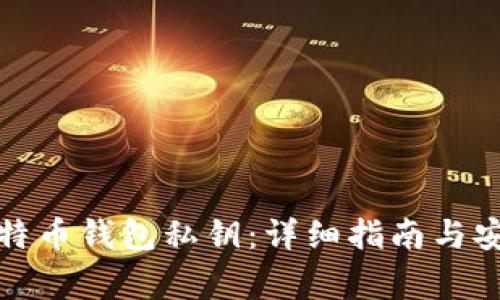 如何查看比特币钱包私钥：详细指南与安全注意事项