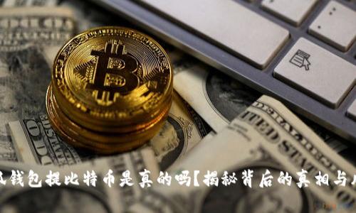 小狐钱包提比特币是真的吗？揭秘背后的真相与风险