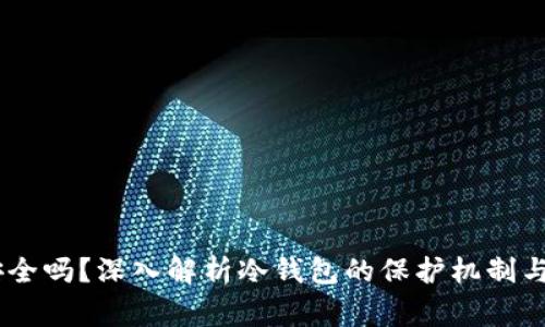 冷钱包USDT安全吗？深入解析冷钱包的保护机制与使用注意事项