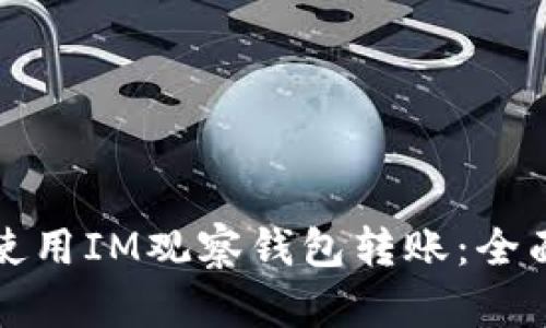 如何使用IM观察钱包转账：全面指南