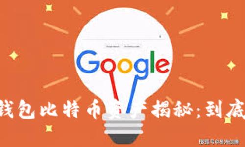 币安冷钱包比特币资产揭秘：到底有多少？