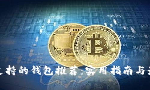 泰达币支持的钱包推荐：实用指南与最佳选择