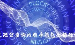 如何通过短信查询比特币钱包余额的方法详解