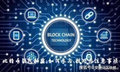 比特币钱包抽奖：如何参与、技巧与注意事项