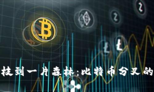 从一根树枝到一片森林：比特币分叉的奇妙旅程