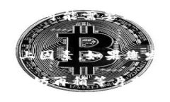 不同的加密货币项目和区