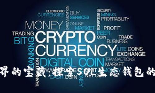 在数字世界的宝藏：探索SOL生态钱包的奇妙冒险