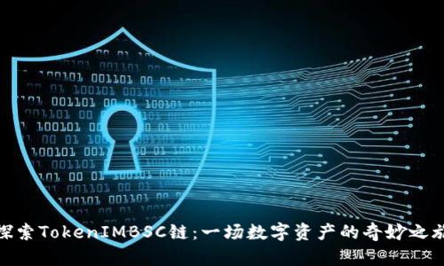 探索TokenIMBSC链：一场数字资产的奇妙之旅